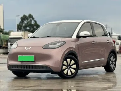 Wuling Bingo