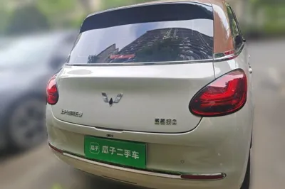 Wuling Bingo