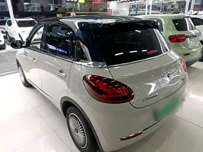Wuling Bingo
