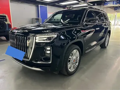 Hongqi 红旗金葵花国耀
