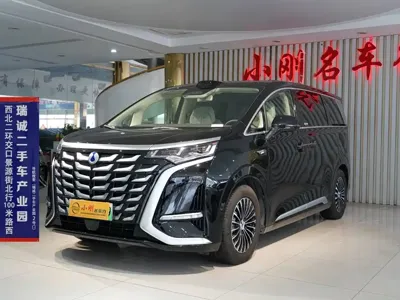 Denza Denza D9