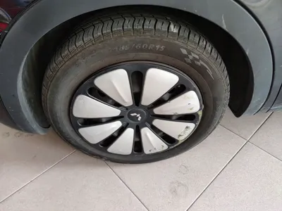 Wuling Bingo