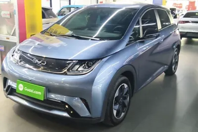 BYD Dolphin