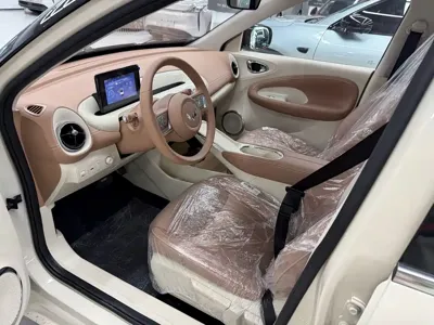 Wuling Bingo