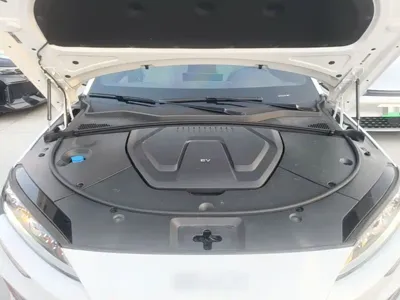 BYD PLUS New Energy