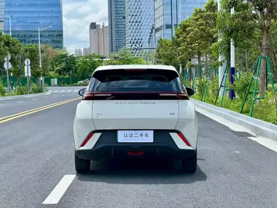 BYD Seagull