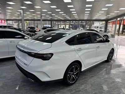 Geely Binrui