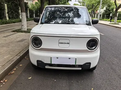 Galaxy Panda