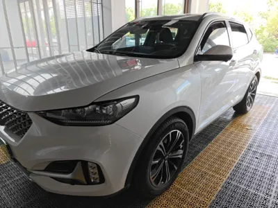WEY VV6