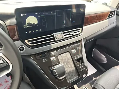 Hongqi Hongqi HQ9 PHEV
