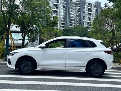 BYD e2