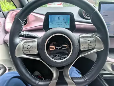 BYD Dolphin