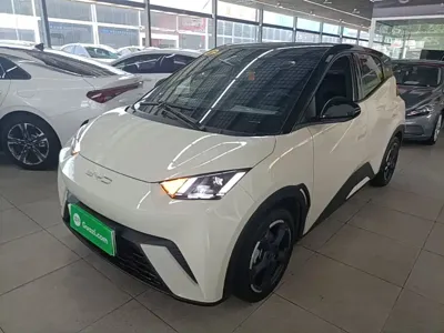 BYD Seagull