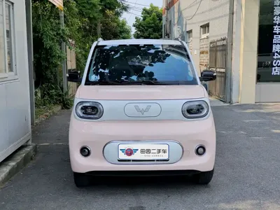 Wuling MINIEV
