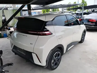 BYD Seagull