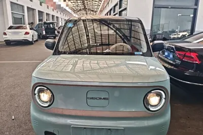 Geely Galaxy Panda