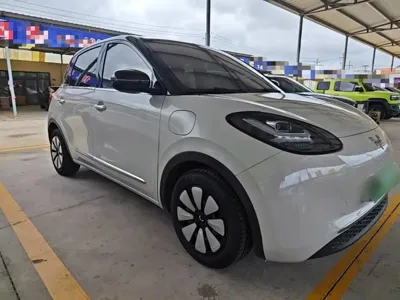 Wuling Bingo