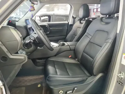 Haval 哈弗大狗 PLUS