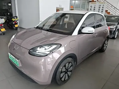 Wuling Bingo
