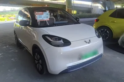 Wuling Bingo