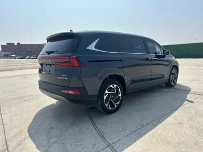 Hyundai Custo