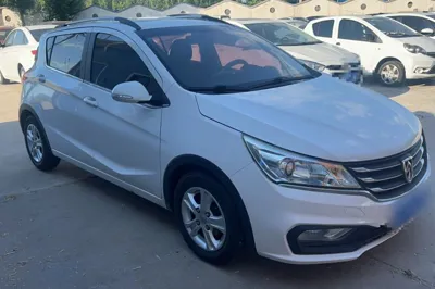 Baojun 310