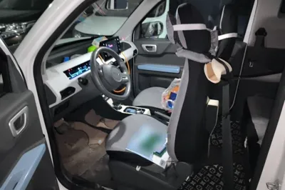 Geely Galaxy Panda