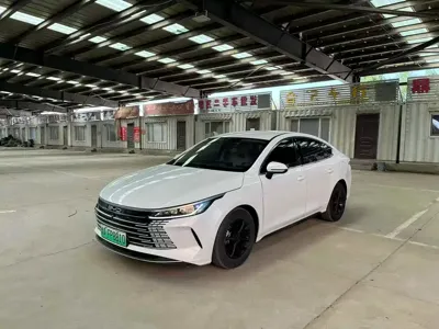 BYD Destroyer 05