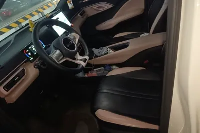 BYD Seagull