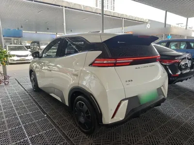 BYD Seagull