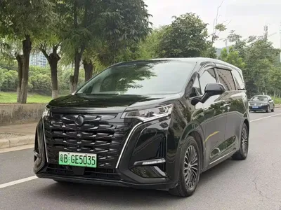 Denza Denza D9