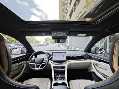 BYD PLUS New Energy