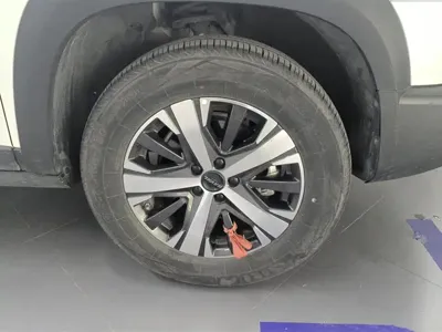 Haval Big Dog