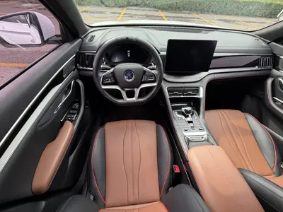 BYD PLUS