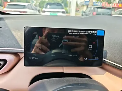 BYD Seagull