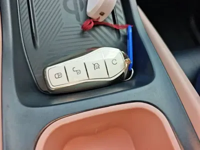 BYD Seagull
