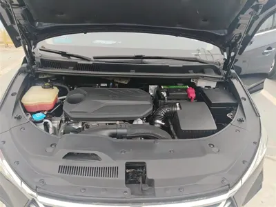 BYD MAX