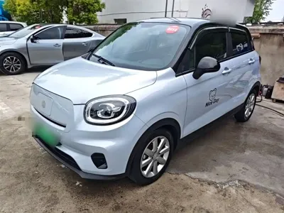 Leapmotor Leapmotor T03