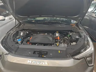 Haval Xiaolong