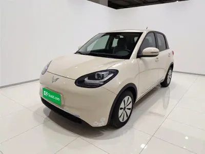 Wuling Bingo