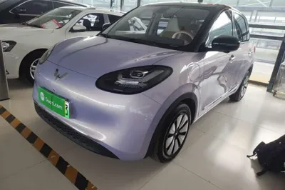 Wuling Bingo