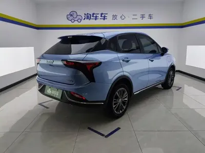 NETA Neta V