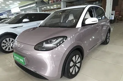 Wuling Bingo