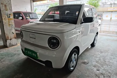 Geely Galaxy Panda
