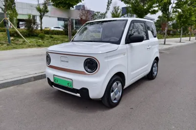 Geely Galaxy Panda