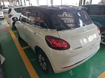 Wuling Bingo