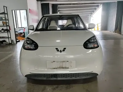 Wuling Bingo
