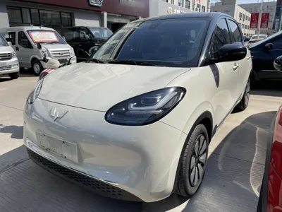 Wuling Bingguo