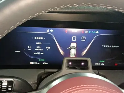 Hongqi Hongqi E-HS9