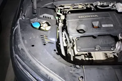 Honda Avancier
